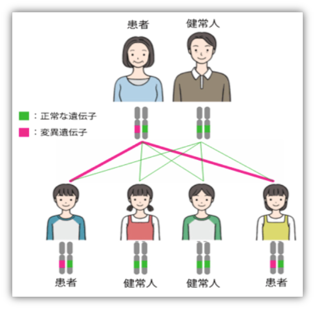 相関図